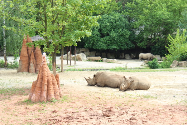 Zoo a safari Dvůr Králové